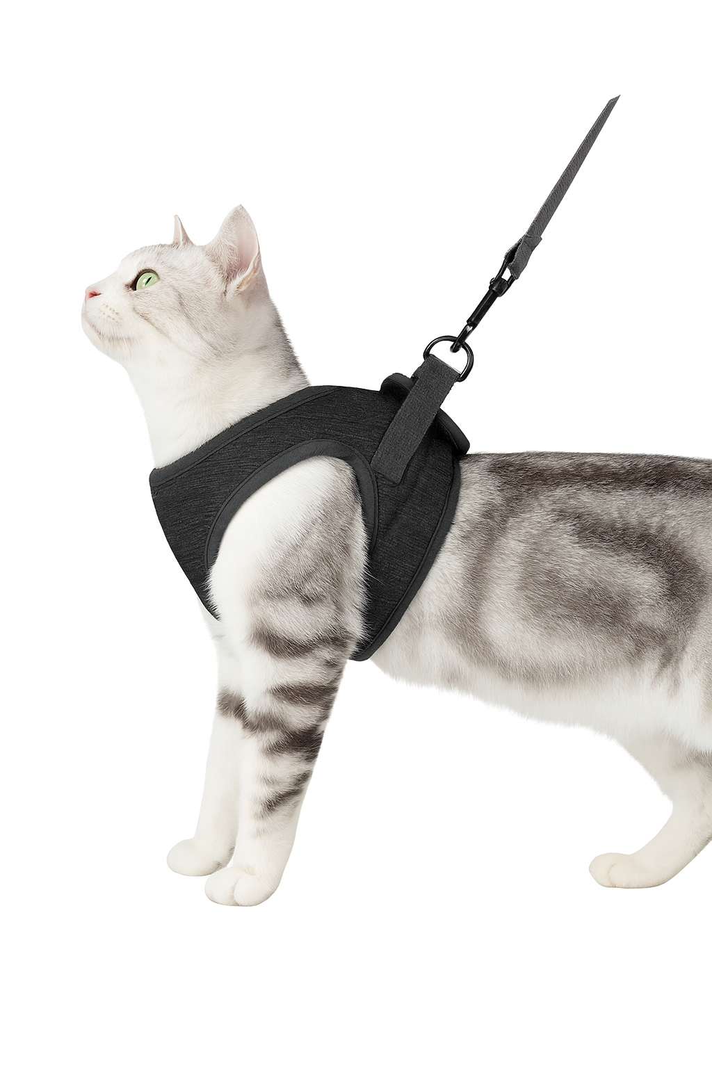 Harnais Sécurisé pour Chat – Compatible GPS