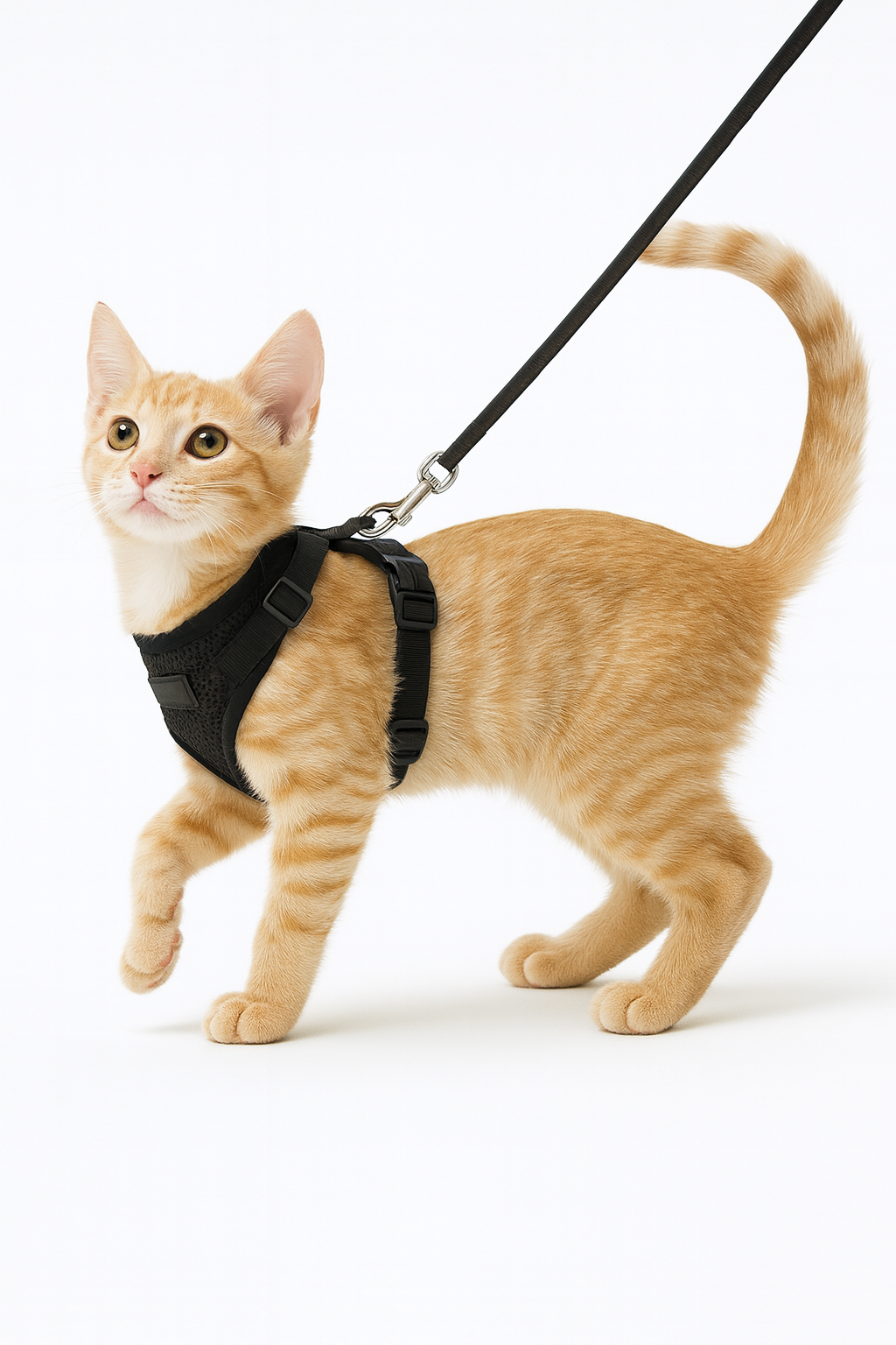 Harnais Réglable pour Chat avec Laisse – Réfléchissant & Confort