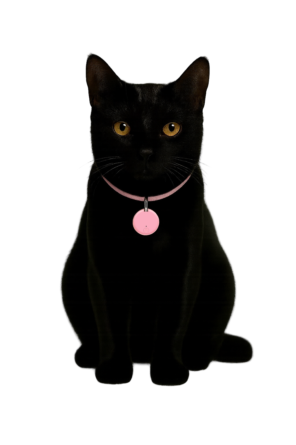 Collier GPS Chat & Chien – Suivi en Temps Réel