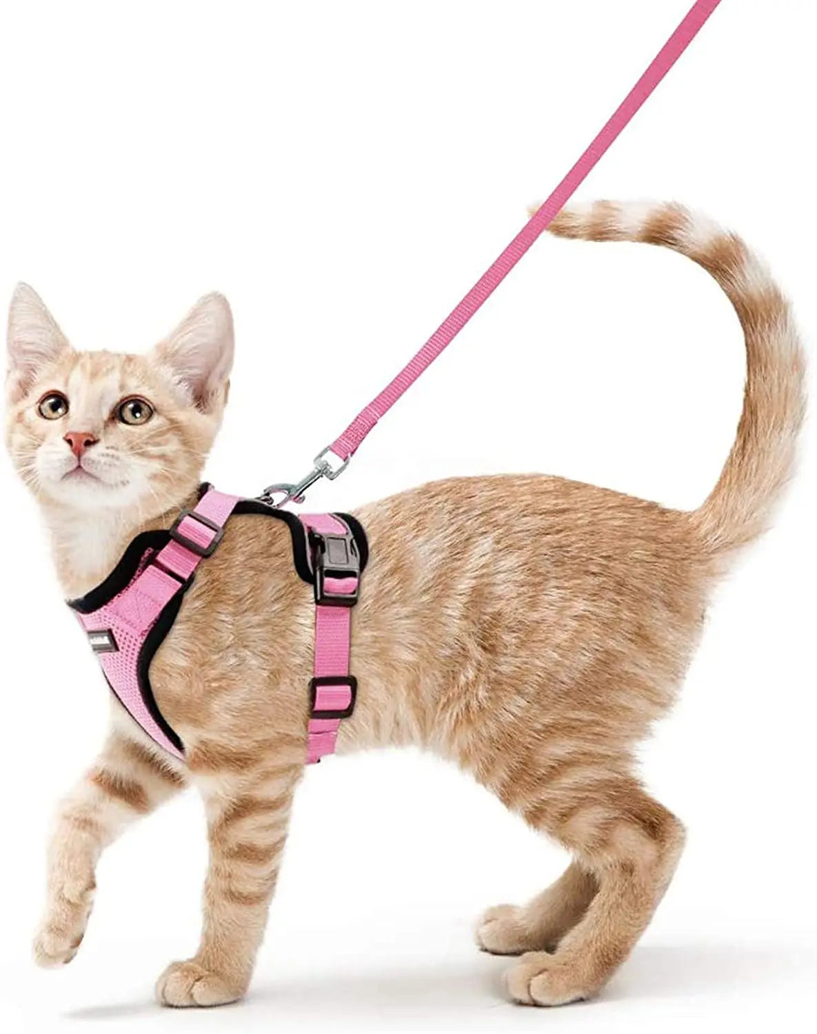 Harnais Réglable pour Chat avec Laisse – Réfléchissant & Confort