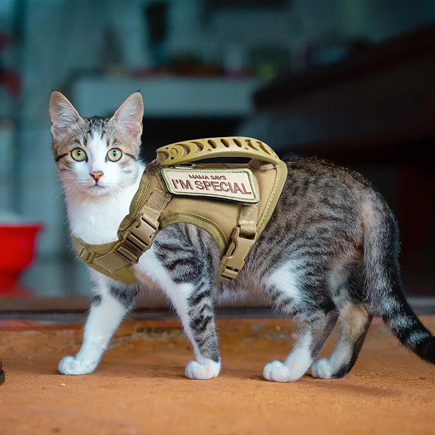 Harnais Réglable pour Chat – Sécurisé, Confortable & Anti-Fuite