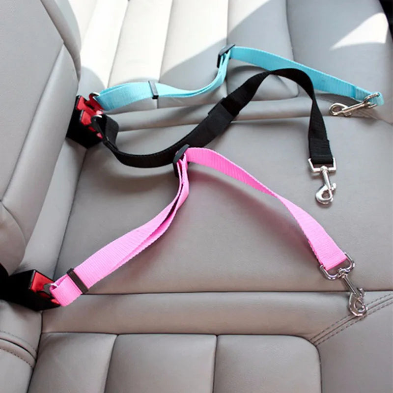 Ceinture Sécurité Chien & Chat – Nylon Réglable & Solide